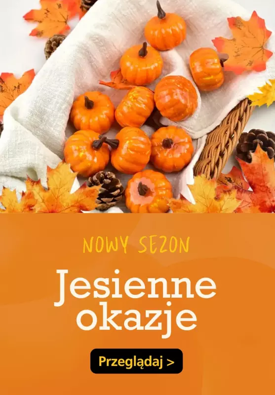 Temu - gazetka promocyjna Jesienne OKAZJE od środy 11.09 do wtorku 17.09