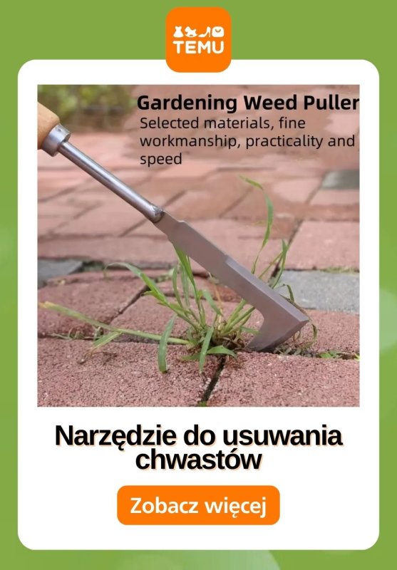 Temu - gazetka promocyjna Przygotuj ogród na lato od piątku 09.05  - strona 11