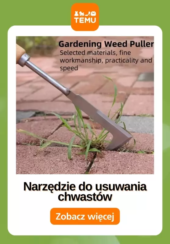 Temu - gazetka promocyjna Przygotuj ogród na lato od piątku 09.05  - strona 11