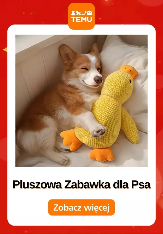 Temu - gazetka promocyjna Drugie urodziny Temu od czwartku 15.05  - strona 12