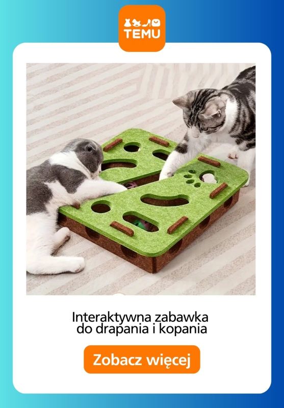Temu - gazetka promocyjna Zabawki dla zwierząt od czwartku 21.08  - strona 8