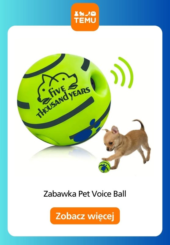 Temu - gazetka promocyjna Zabawki dla zwierząt od czwartku 21.08  - strona 2