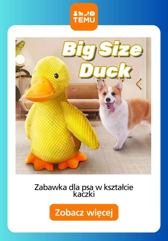 Temu - gazetka promocyjna Zabawki dla zwierząt od czwartku 21.08  - strona 3