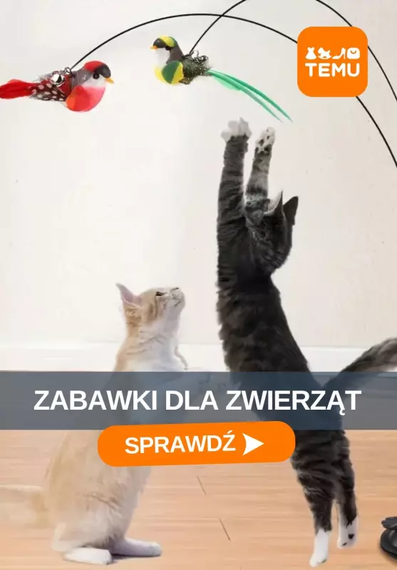 Temu - gazetka promocyjna Zabawki dla zwierząt od czwartku 21.08 