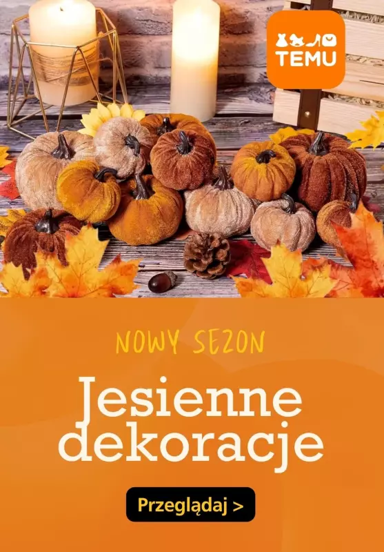 Temu - gazetka promocyjna Jesienne dekoracje  
