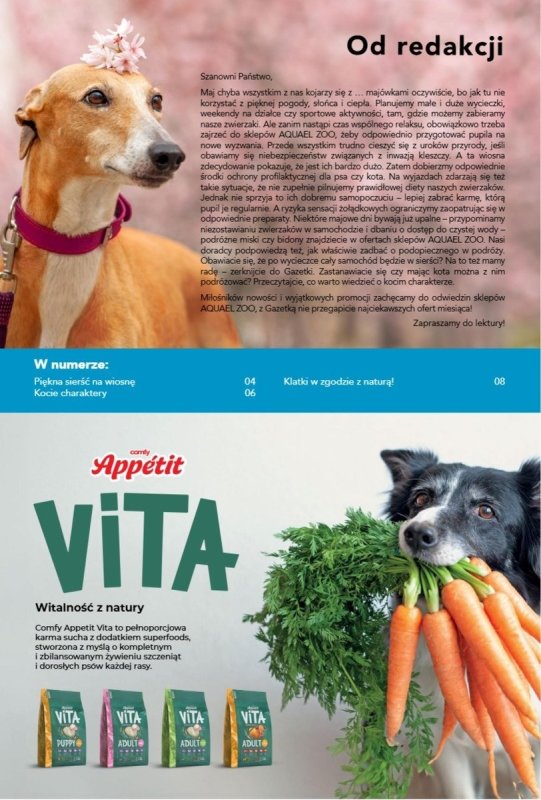 Aquael zoo - gazetka promocyjna Gazetka od wtorku 06.05 do soboty 31.05 - strona 19