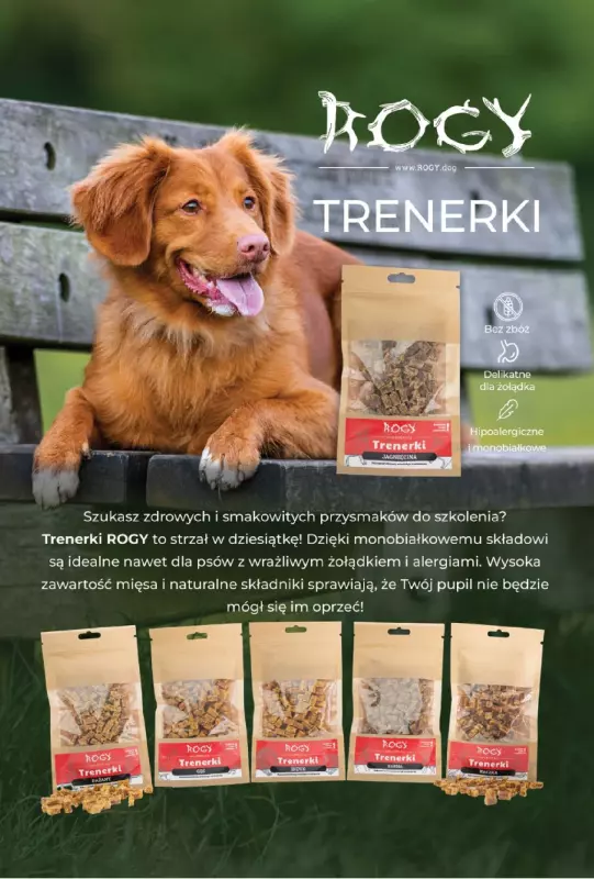 Aquael zoo - gazetka promocyjna Gazetka od poniedziałku 01.09 do wtorku 30.09 - strona 10