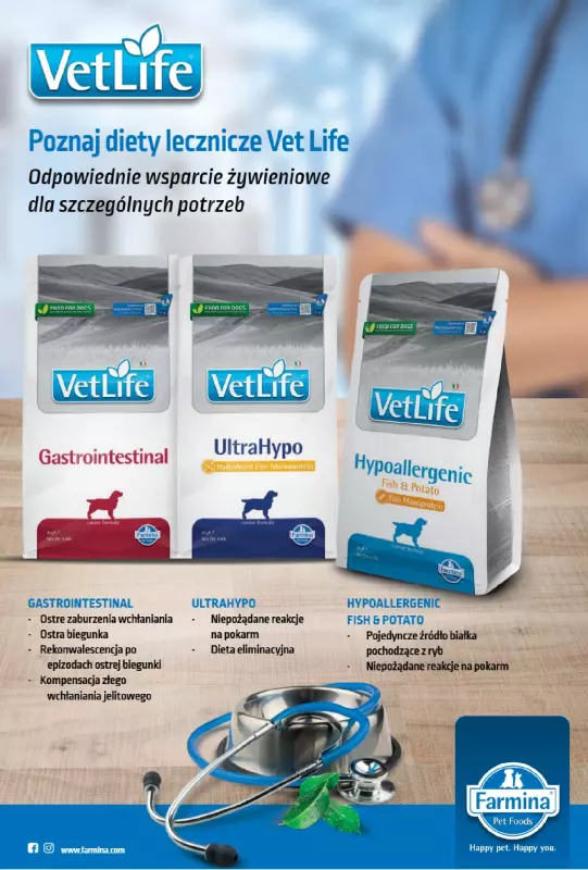 Aquael zoo - gazetka promocyjna Gazetka od poniedziałku 01.09 do wtorku 30.09 - strona 11