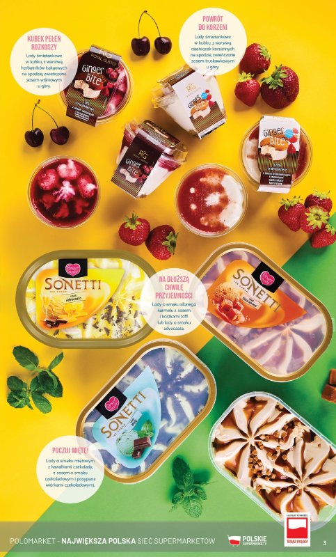 POLOmarket - gazetka promocyjna Katalog Lodowa Uczta od środy 23.04 do niedzieli 31.08 - strona 3