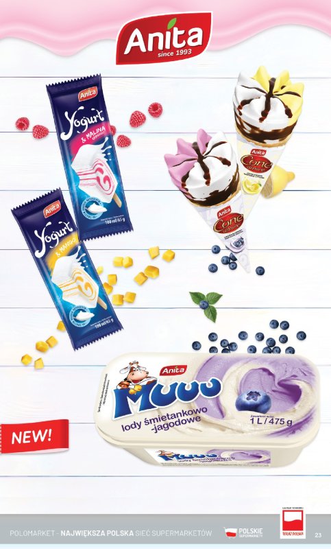 POLOmarket - gazetka promocyjna Katalog Lodowa Uczta od środy 23.04 do niedzieli 31.08 - strona 23