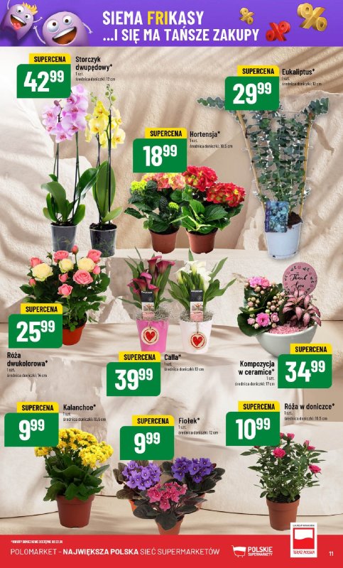 POLOmarket - gazetka promocyjna Gazetka od środy 21.05 do wtorku 27.05 - strona 11