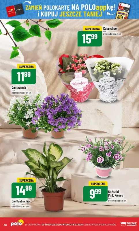 POLOmarket - gazetka promocyjna Gazetka od środy 09.07 do wtorku 15.07 - strona 60