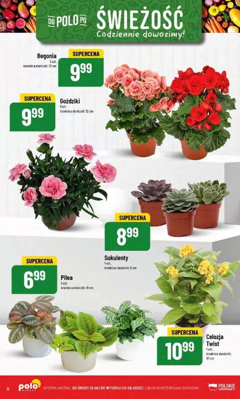 POLOmarket - gazetka promocyjna Gazetka od środy 06.08 do wtorku 12.08 - strona 8