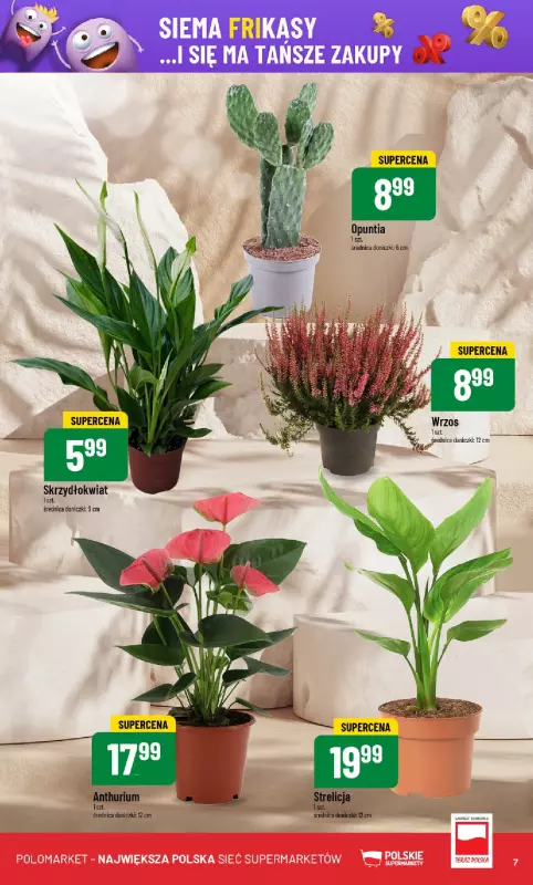 POLOmarket - gazetka promocyjna Gazetka od środy 13.08 do wtorku 19.08 - strona 7