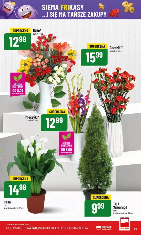 POLOmarket - gazetka promocyjna Gazetka od środy 03.09 do wtorku 09.09 - strona 29