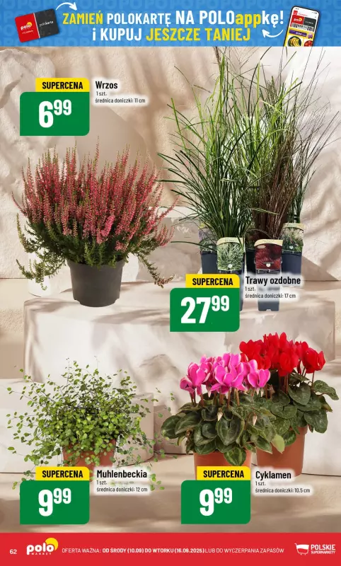 POLOmarket - gazetka promocyjna Gazetka od środy 10.09 do wtorku 16.09 - strona 62