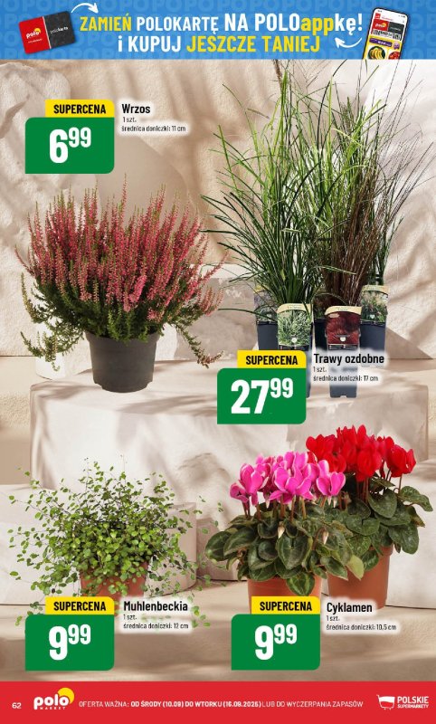 POLOmarket - gazetka promocyjna Gazetka od środy 10.09 do wtorku 16.09 - strona 62