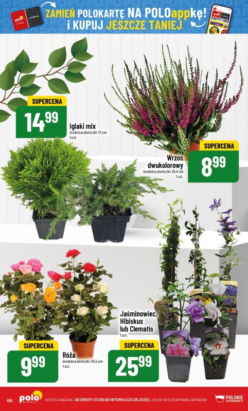 POLOmarket - gazetka promocyjna Gazetka od środy 17.09 do wtorku 23.09 - strona 68