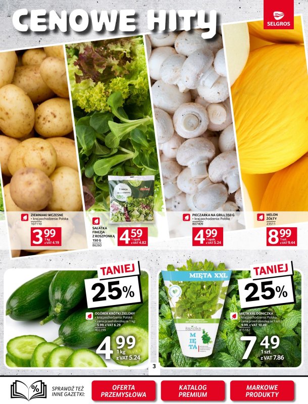 Selgros - gazetka promocyjna Oferta spożywcza od czwartku 05.06 do wtorku 17.06 - strona 3