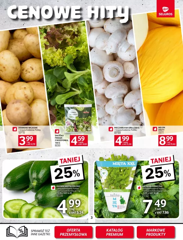 Selgros - gazetka promocyjna Oferta spożywcza od czwartku 05.06 do wtorku 17.06 - strona 3