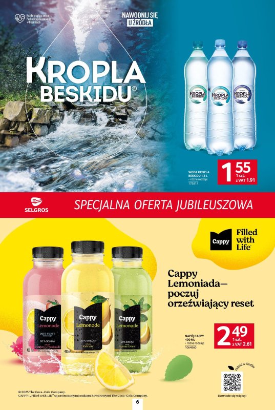 Selgros - gazetka promocyjna Specjalna oferta jubileuszowa od czwartku 03.07 do środy 16.07 - strona 6