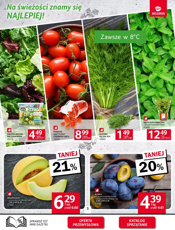 Selgros - gazetka promocyjna Oferta spożywcza od czwartku 28.08 do środy 10.09 - strona 3