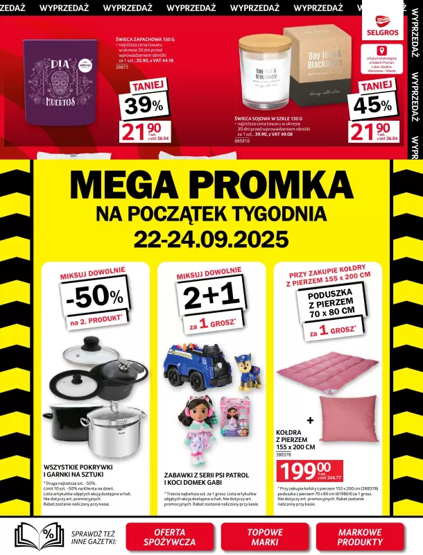 Selgros - gazetka promocyjna Oferta przemysłowa od czwartku 11.09 do środy 24.09 - strona 45