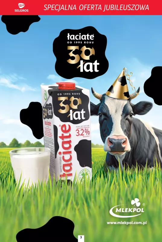 Selgros - gazetka promocyjna Specjalna oferta jubileuszowa   - strona 3