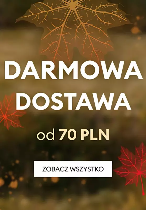 Sinsay - gazetka promocyjna Darmowa dostawa od wtorku 29.10 