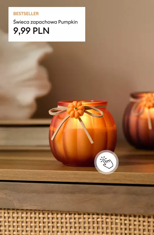 ✨ Zbiorniczek wyrównawczy płynu chłodniczego Kawasaki Ninja ZX