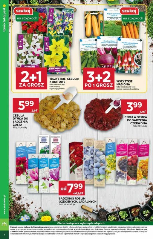 Stokrotka - gazetka promocyjna Gazetka Market od wtorku 29.04 do środy 07.05 - strona 22