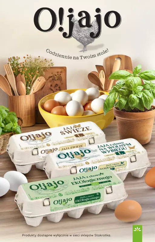 Stokrotka - gazetka promocyjna Gazetka Market  do środy 04.06 - strona 22