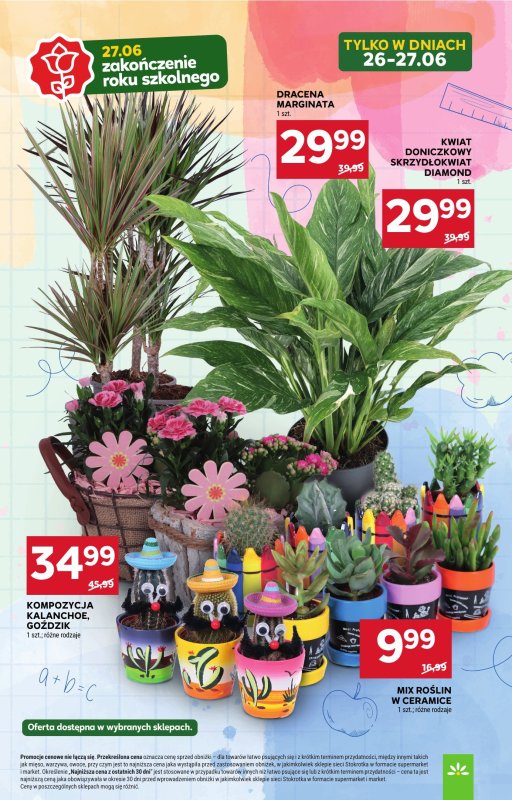Stokrotka - gazetka promocyjna Gazetka Supermarket od czwartku 26.06 do środy 02.07 - strona 7