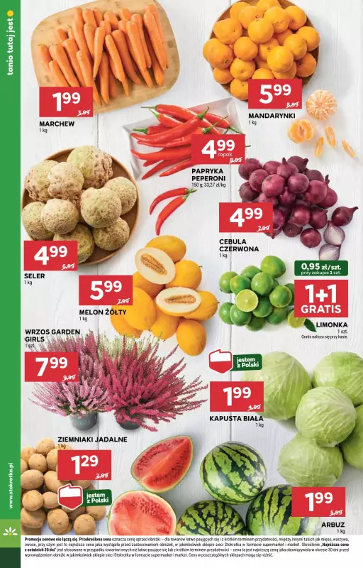 Stokrotka - gazetka promocyjna Gazetka Market od czwartku 28.08 do środy 03.09 - strona 10