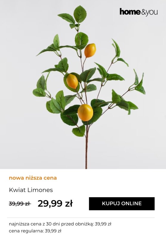 home&you - gazetka promocyjna Kolekcje letnie: Limoni od wtorku 17.06 do środy 25.06 - strona 9