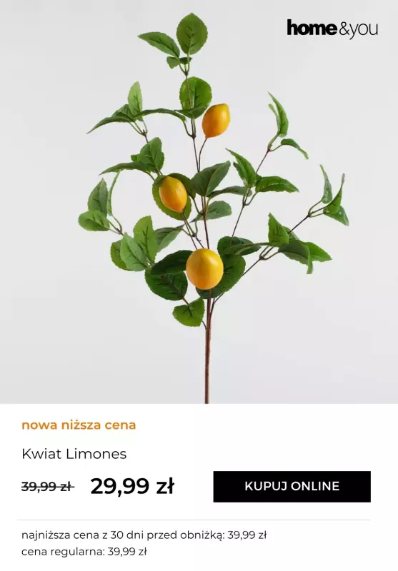 home&you - gazetka promocyjna Kolekcje letnie: Limoni od wtorku 17.06 do środy 25.06 - strona 9