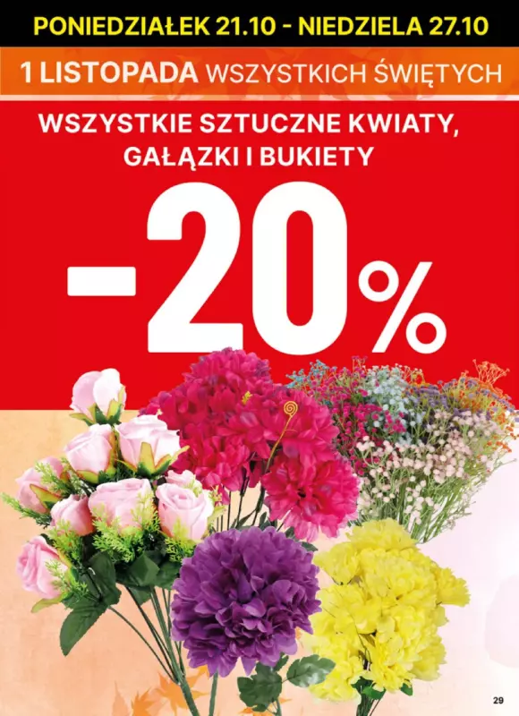 Delikatesy Centrum - gazetka promocyjna Gazetka  do niedzieli 27.10 - strona 29