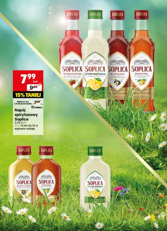 Delikatesy Centrum - gazetka promocyjna Gazetka alkoholowa  do niedzieli 25.05 - strona 9