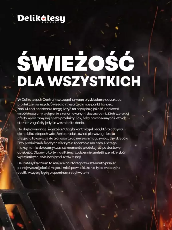Delikatesy Centrum - gazetka promocyjna Gazetka Lada na Grilla   - strona 3