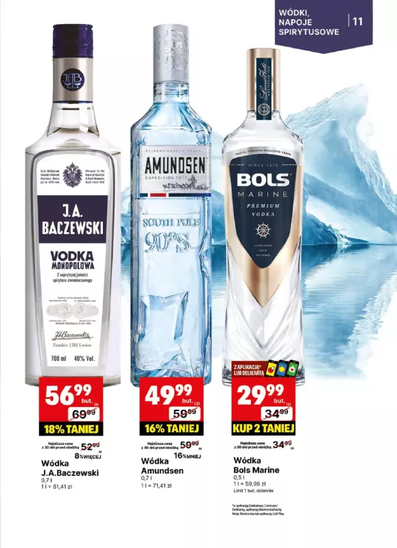 Delikatesy Centrum - gazetka promocyjna Gazetka alkoholowa od poniedziałku 09.06 do niedzieli 22.06 - strona 11