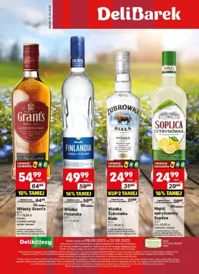 Delikatesy Centrum - gazetka promocyjna Gazetka alkoholowa  do niedzieli 22.06
