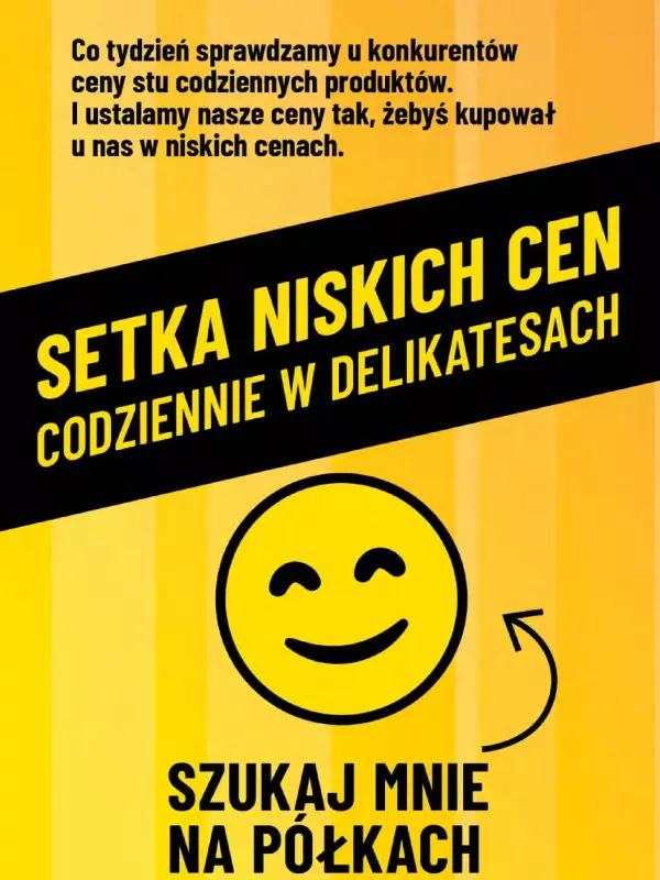 Delikatesy Centrum - gazetka promocyjna Gazetka od czwartku 12.06 do środy 18.06 - strona 47