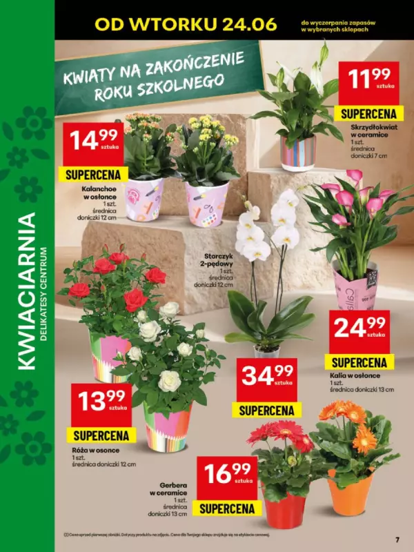 Delikatesy Centrum - gazetka promocyjna Gazetka  do niedzieli 29.06 - strona 7