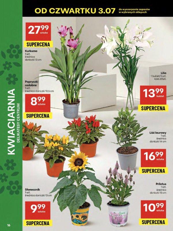 Delikatesy Centrum - gazetka promocyjna Gazetka  do środy 09.07 - strona 16