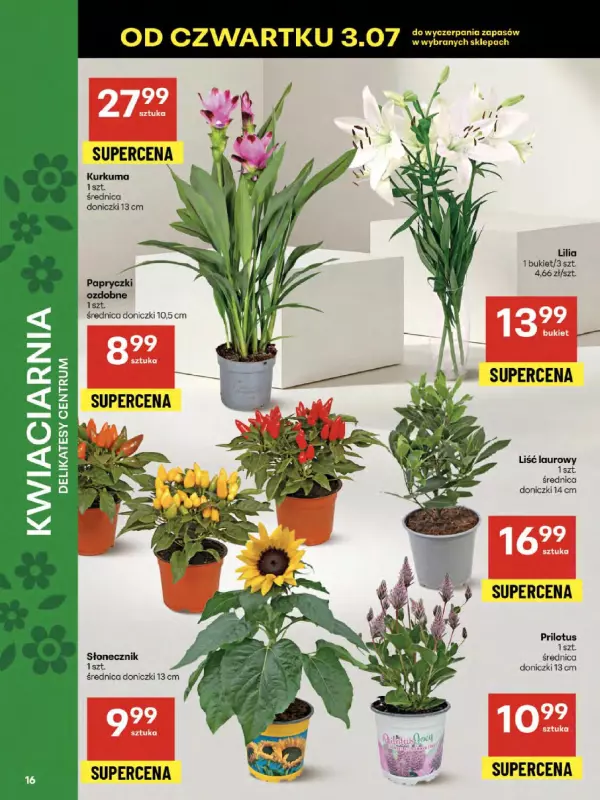 Delikatesy Centrum - gazetka promocyjna Gazetka  do środy 09.07 - strona 16