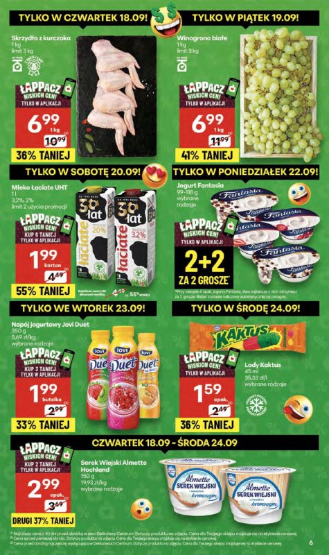 Delikatesy Centrum - gazetka promocyjna Gazetka  do środy 24.09 - strona 6