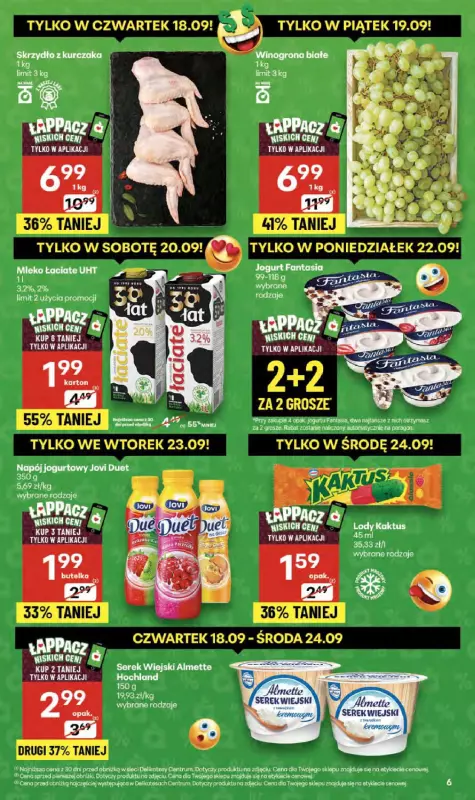 Delikatesy Centrum - gazetka promocyjna Gazetka  do środy 24.09 - strona 6