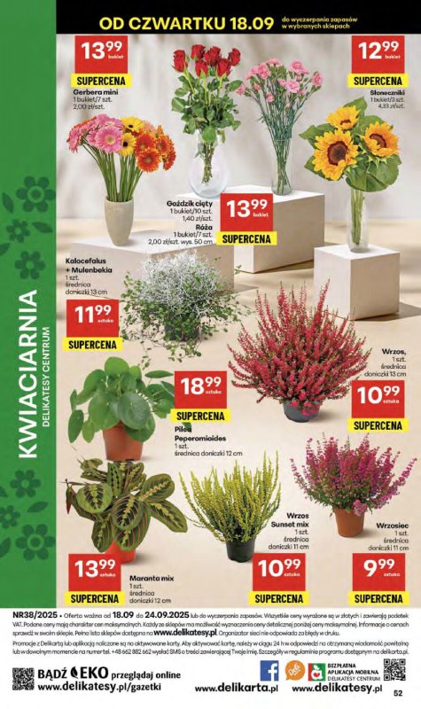 Delikatesy Centrum - gazetka promocyjna Gazetka  do środy 24.09 - strona 52