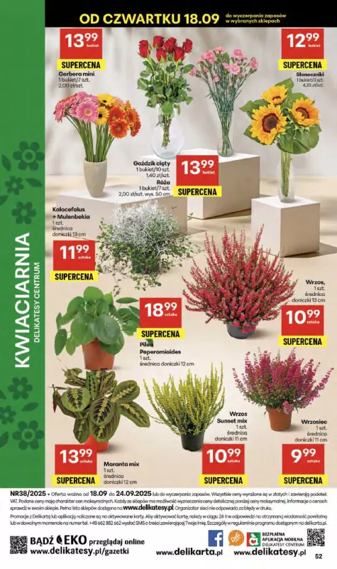 Delikatesy Centrum - gazetka promocyjna Gazetka  do środy 24.09 - strona 52