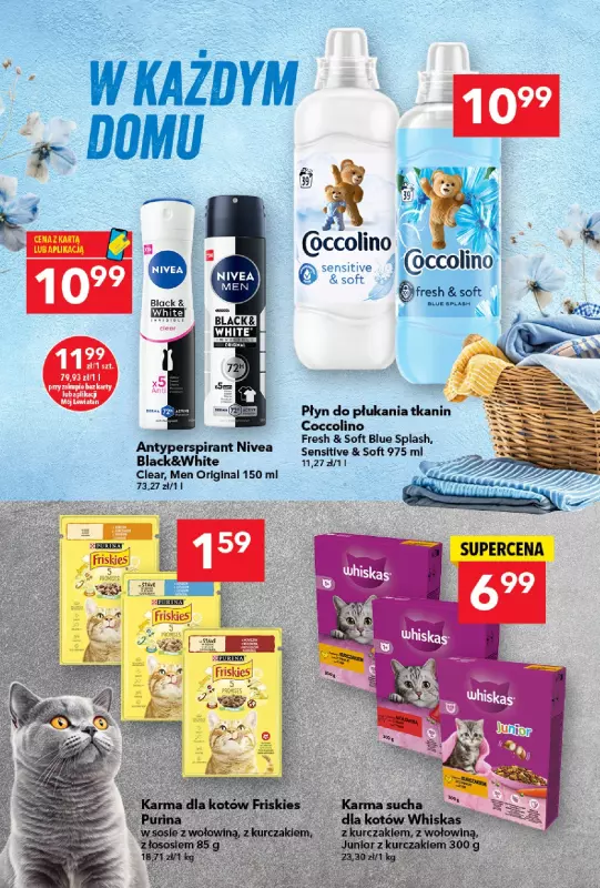 LEWIATAN - gazetka promocyjna Gazetka Są okazje w Lewiatanie od czwartku 31.07 do środy 06.08 - strona 13